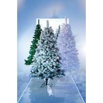 Weihnachtsbäume