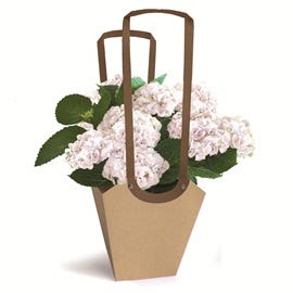 Neuheiten für Floristen