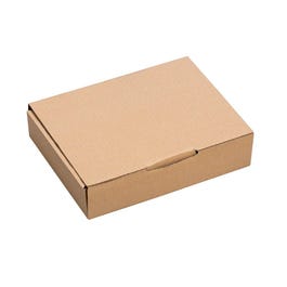 Versandkarton einwellig braun 24x17x5cm 20 Stück Versandkarton einwellig braun 24x17x5cm 20 Stück