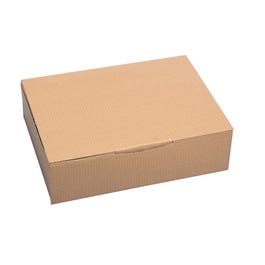 Versandkarton einwellig braun 31x21,5x7cm 20 Stück Versandkarton einwellig braun 31x21,5x7cm 20 Stück