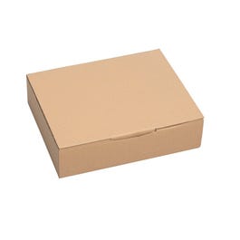 Versandkarton einwellig braun 33x25x8cm 20 Stück Versandkarton einwellig braun 33x25x8cm 20 Stück