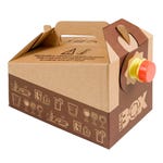 Bag in Box aus Karton mit Beutel für 3 Liter – 25 Stück